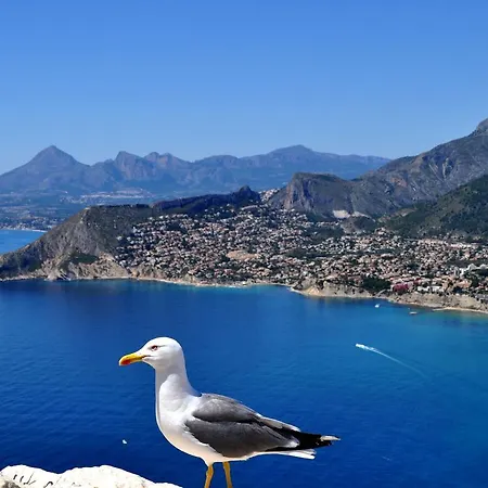 Διαμέρισμα Aeuro0506 Κάλπε